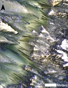 Warm-season Flows HiRISE